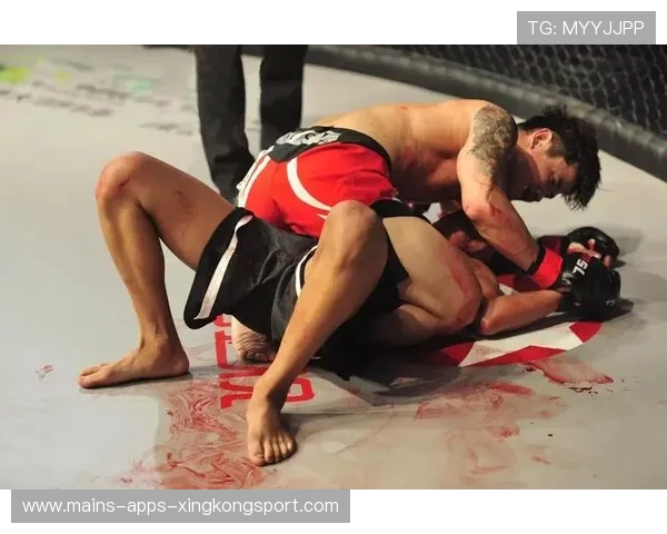 MMA裁判尺度统一化，比赛更安全